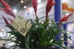 赤峰花卉水族館電話號碼多少