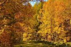 赤峰美琪工作室地址電話號(hào)碼