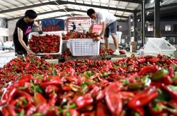 赤峰市新華食品廠電話號碼