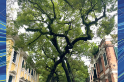 赤峰弘祥面食店電話多少號