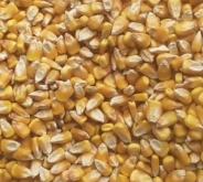 赤峰市玉米烘干商家電話號碼