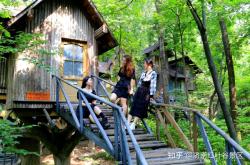 赤峰紅葉谷景區(qū)電話號碼多少