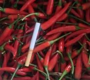 赤峰市小米椒批發(fā)電話號(hào)碼