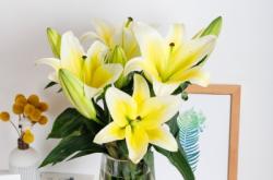 赤峰全季鮮花店地址電話號碼