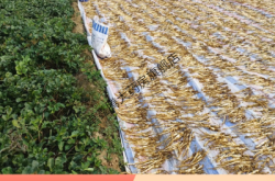 赤峰市野雞廠電話地址查詢號碼