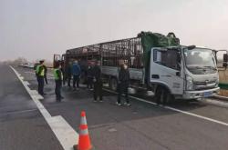 赤峰收豬中介公司電話多少號(hào)