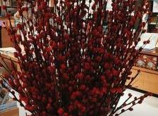 當(dāng)當(dāng)網(wǎng)赤峰店電話號(hào)碼是多少