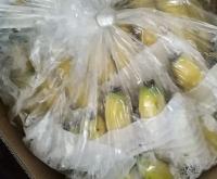 赤峰大姜批發(fā)電話號(hào)碼查詢