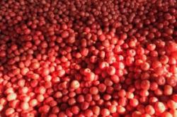 內(nèi)蒙赤峰市手機(jī)批發(fā)電話號(hào)碼