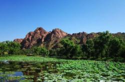 赤峰郊區(qū)東山鄉(xiāng)政府電話號碼