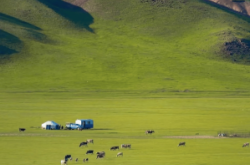 赤峰阿郎煙酒店電話號碼查詢