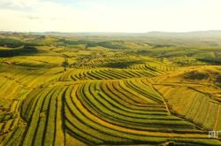 赤峰敖漢羊養(yǎng)殖戶(hù)電話(huà)號(hào)碼