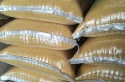 赤峰圓棗子苗供應(yīng)商電話號碼