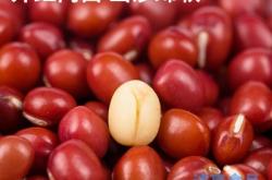 赤峰小亞服裝店電話地址查詢