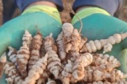 赤峰附近挖菜地點(diǎn)電話號碼查詢