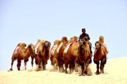 赤峰善水軒洗浴電話(huà)號(hào)碼查詢(xún)