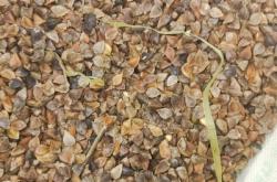 赤峰苦蕎合作社電話地址查詢