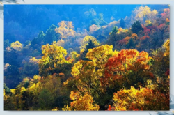 赤峰林舍工作室地址電話號碼