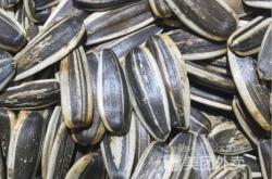 赤峰橋北干果店電話號碼查詢