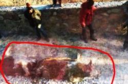 赤峰到葉柏壽拼車電話號碼