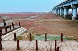 赤峰哪里有海綿廠