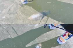 赤峰冰釣大棚電話號碼多少號