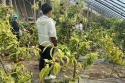 赤峰親嘴調(diào)酒師電話號碼查詢