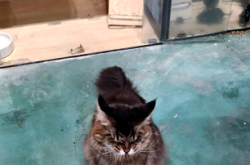 赤峰嗨堡樂園電話號碼多少號