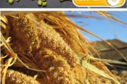 赤峰靚點特產(chǎn)超市地址電話號碼