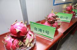 赤峰綠禾小米專賣店電話號碼