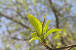 赤峰寧城美容院電話號碼多少