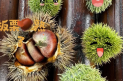 赤峰市小橘子超市電話號碼