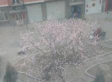 赤峰市天義紋身店電話號碼