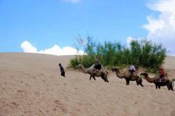 赤峰烏丹鎮(zhèn)白塔子村電話號碼