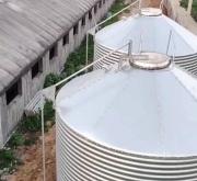 赤峰散養(yǎng)豬豬場地址電話號碼