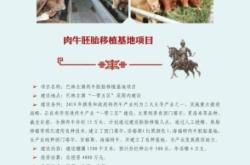 赤峰肉牛廠家電話多少號(hào)碼