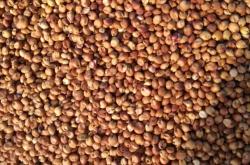 赤峰市敖漢旗養(yǎng)雞場電話號碼