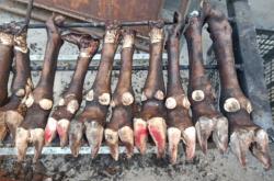 赤峰牛蹄子熟食店地址電話號(hào)碼