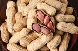 赤峰粵香工廠店電話號碼查詢