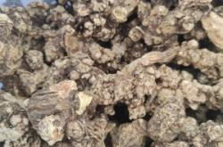 赤峰寧城素菜館電話多少號