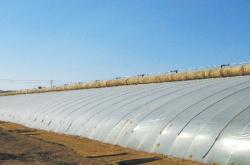 赤峰大棚塑料膜廠家電話號(hào)碼