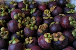 赤峰山竹批發(fā)電話是多少號