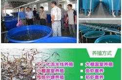 赤峰土塘蝦料廠家電話號(hào)碼