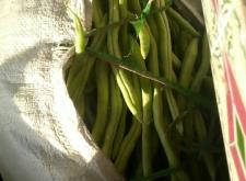 赤峰松山區(qū)雪糕廠電話號(hào)碼