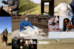 赤峰養(yǎng)羊直銷電話多少號碼