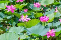 赤峰盈盈生鮮超市電話號碼查詢