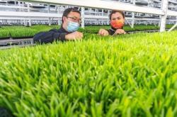 赤峰水培牧草生產基地電話號碼