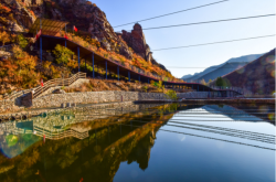 赤峰雷營子區(qū)政府電話號碼