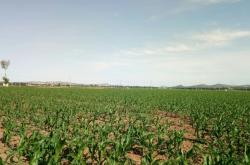 赤峰到乃林火車時刻表