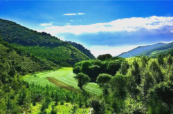 赤峰喀喇沁居然之家電話號碼